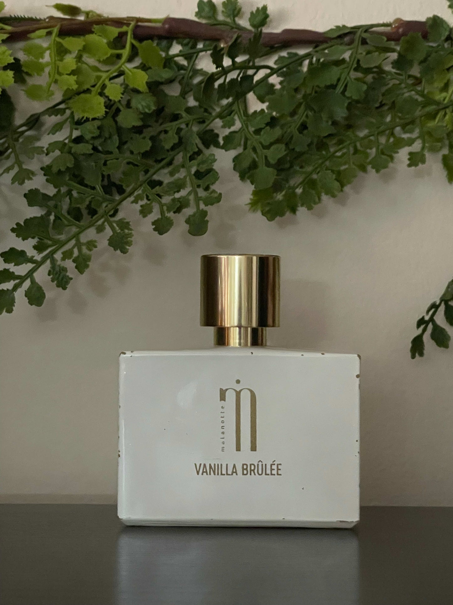 Vanilla Brulee